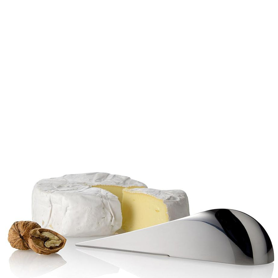 Alessi Antechinus Cheese Knife AD01