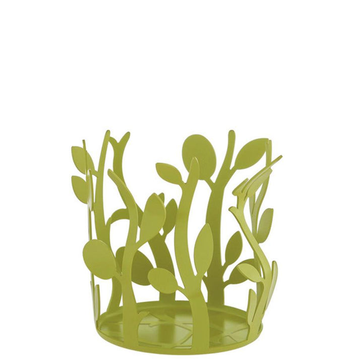 Alessi Oliette Stainless MSA33 GR