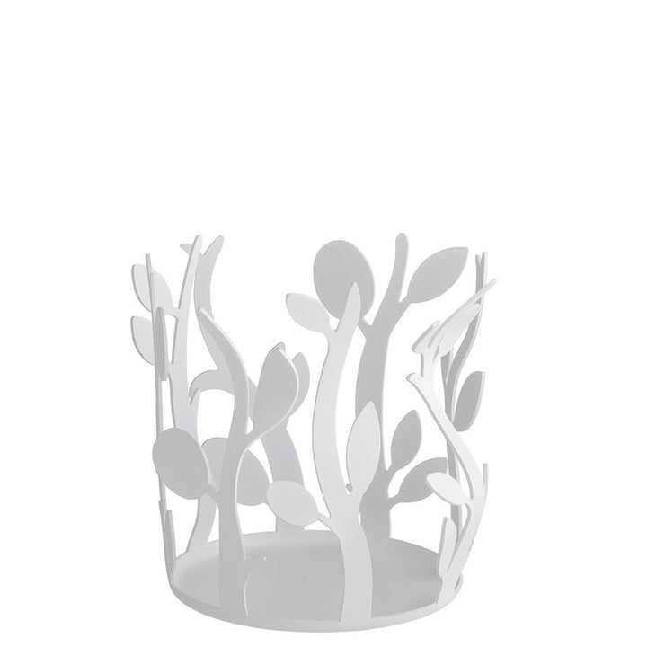 Alessi Oliette Stainless MSA33 W