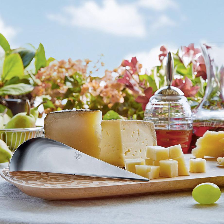 Alessi Antechinus Cheese Knife AD01