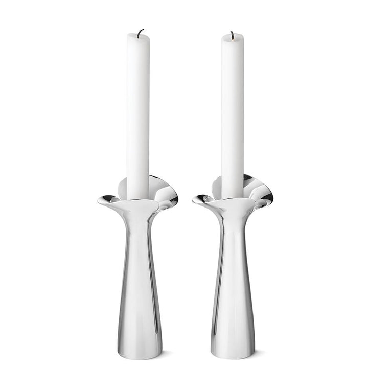 Bloom Botanica Candleholders