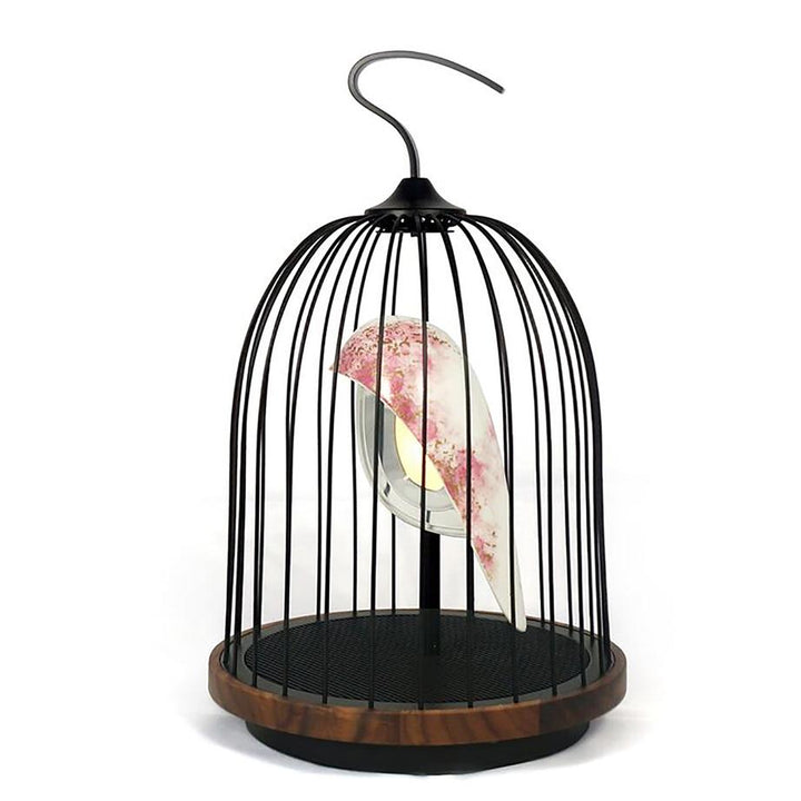 JinGoo Bluetooth Speaker