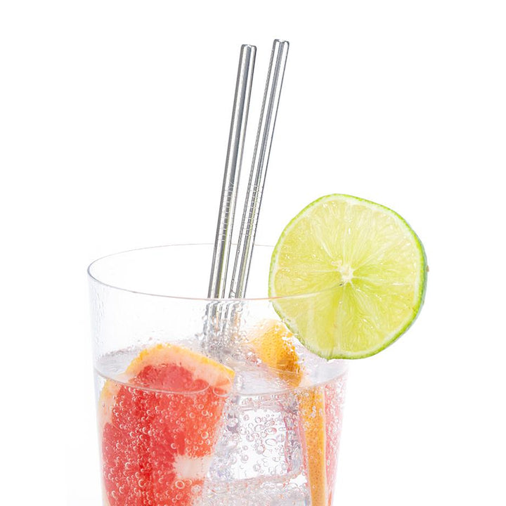 Stainless Steel Straws | Set of 10