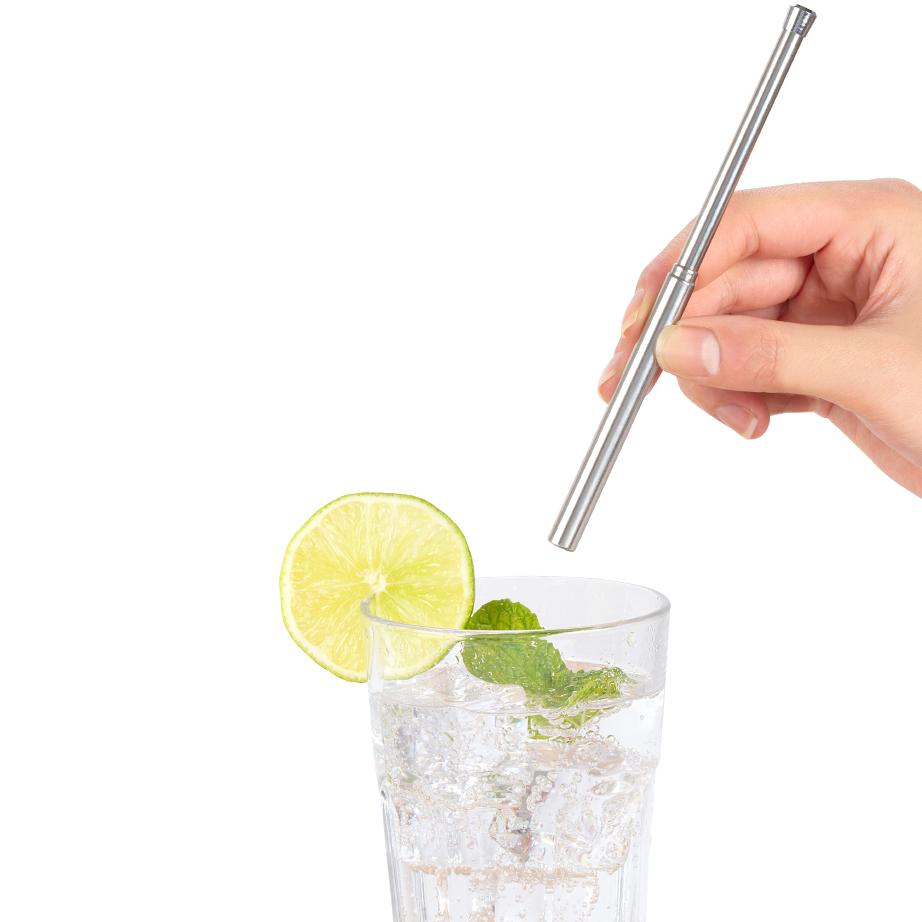 Kikkerland Travel Straw Set CU269