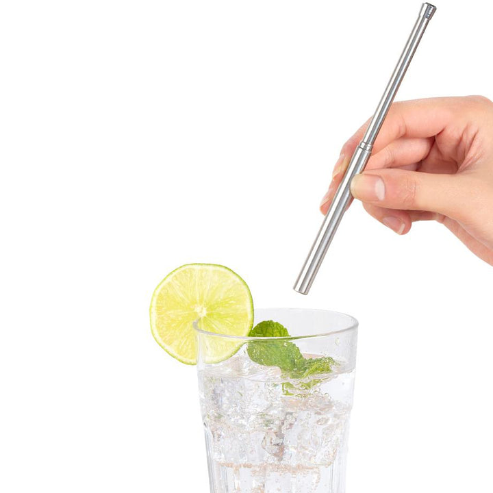 Kikkerland Travel Straw Set CU269