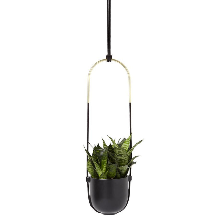 Umbra Bolo Hanging Planter
