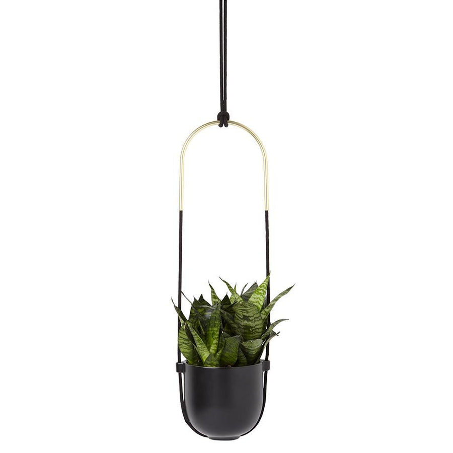 Umbra Bolo Hanging Planter