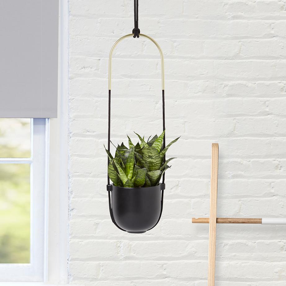 Umbra Bolo Hanging Planter