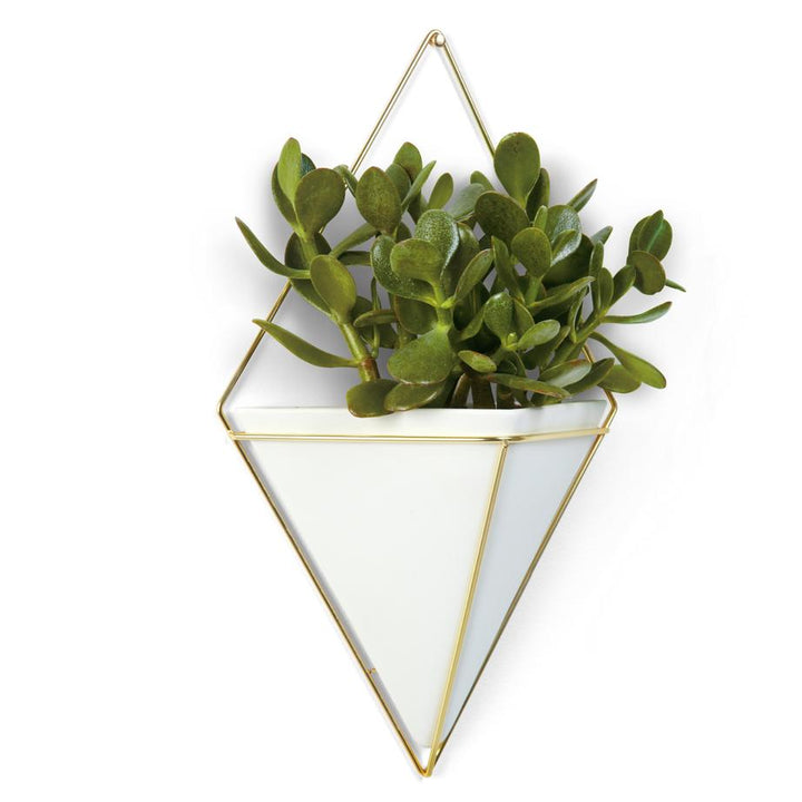 Umbra Trigg Wall Vessel White Large 470752-524