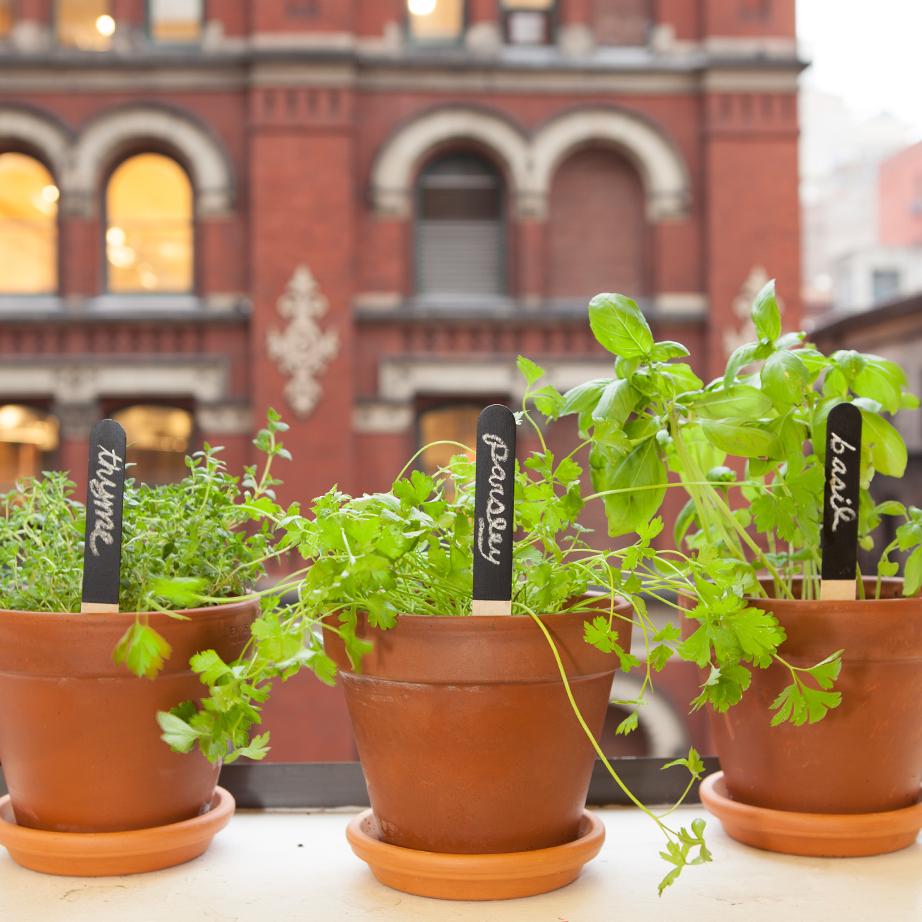 Reusable Garden Markers