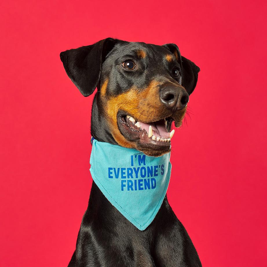 Swag & Strut Dog Bandanas